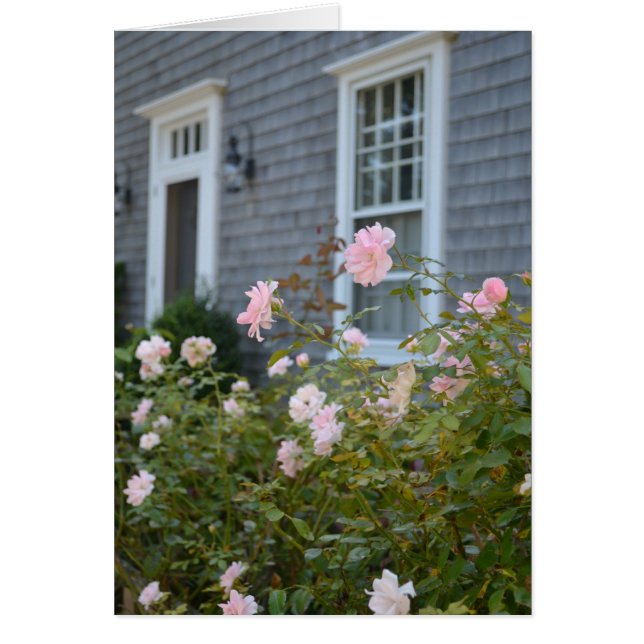 Tarjeta de Rosas de Nantucket (Frente)