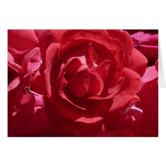 Tarjeta de Roses Rojos (Anverso (Horizontal))