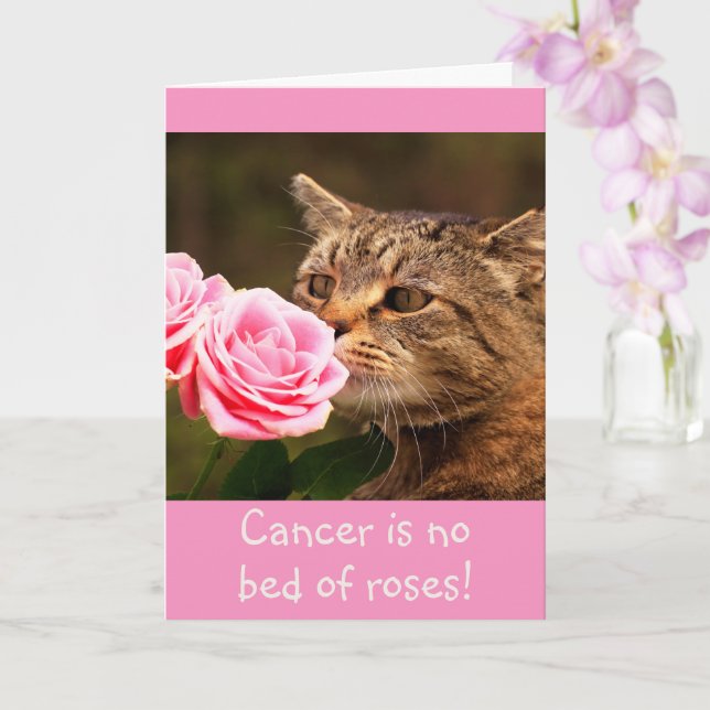 Tarjeta de sabiduría para el cáncer de gatito (Orquídea)
