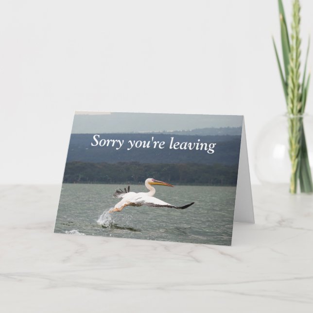 Tarjeta de salida de ave voladora (Anverso)