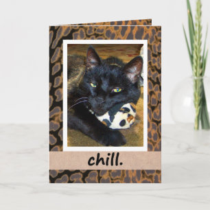 Tarjeta de salida de escalado de gato negro