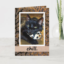 Tarjeta de salida de escalado de gato negro