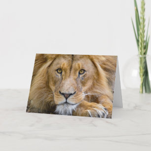 TARJETA DE SALUD DE CUMPLEAÑOS DE FOTOGRAFÍA DE LI