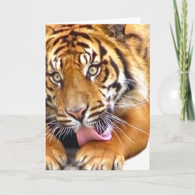 Tarjeta de saludo (Anverso)