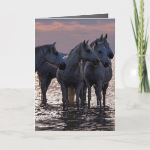 Tarjeta de saludo a caballo - Cuatro caballos al a