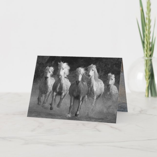 Tarjeta de saludo a caballo de carreras de agua (Anverso)