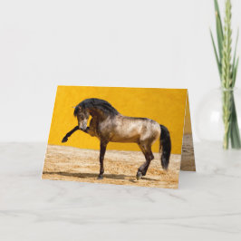 Tarjeta de saludo a Caballo del Stallion de Lusita