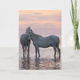 Tarjeta de saludo a caballo - Dos amigos del cabal