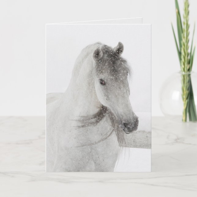 Tarjeta de saludo a caballo - Mare de nieve travie (Anverso)