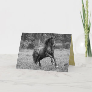 Tarjeta de saludo a caballo - Saltos de Stallion d