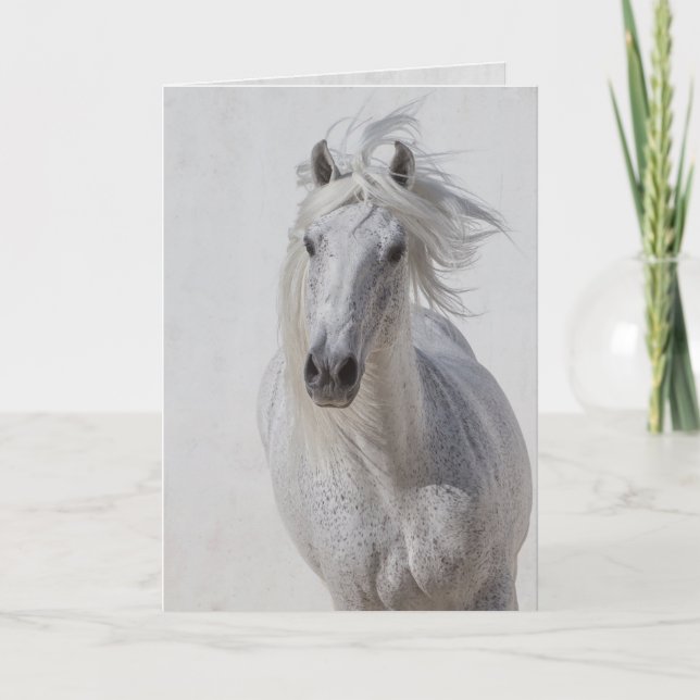 Tarjeta de saludo a caballo - Se ejecuta el Stalli (Anverso)