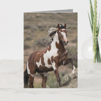 Tarjeta de saludo a caballo silvestre - Picasso se