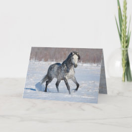 Tarjeta de saludo a caballo - Stallion de nieve gr