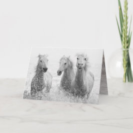 Tarjeta de saludo a caballo - Tres caballos blanco