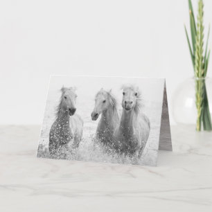 Tarjeta de saludo a caballo - Tres caballos blanco