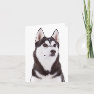 Tarjeta de saludo a Husky Siberiana de Perro Cacho