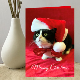 Tarjeta de saludo a los Navidades de Meowy Navidad