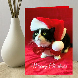 Tarjeta de saludo a los Navidades de Meowy Navidad