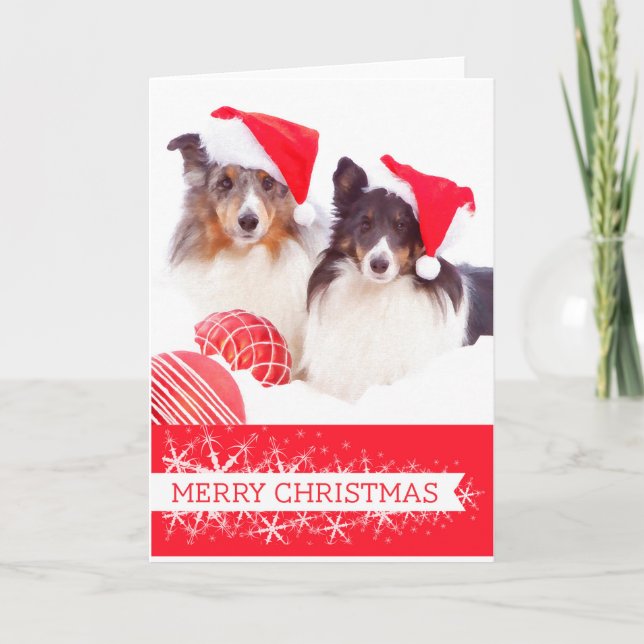 Tarjeta de saludo a los Navidades de Sheepdog de S (Anverso)
