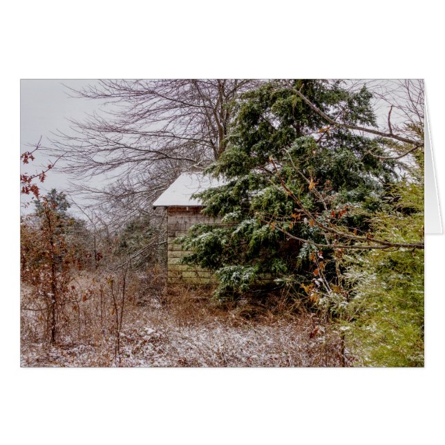 Tarjeta de saludo abandonada Shed (Anverso (Horizontal))