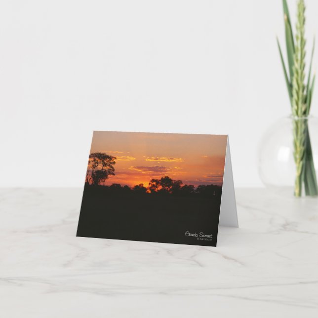 Tarjeta de saludo Acacia Sunset (Anverso)