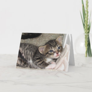 Tarjeta de saludo Adorable Tabby