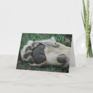 Tarjeta de saludo "African Lion Paw"