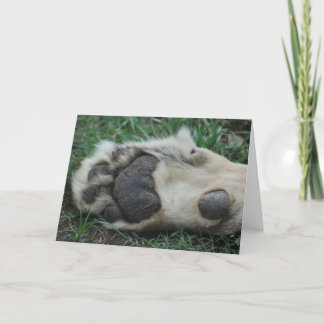 Tarjeta de saludo "African Lion Paw"