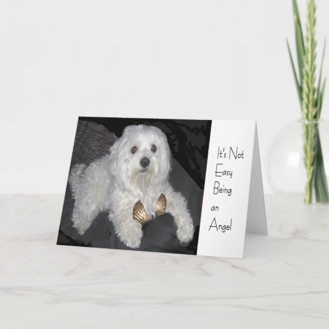 Tarjeta de saludo Angel Humor maltés para todos (Anverso)
