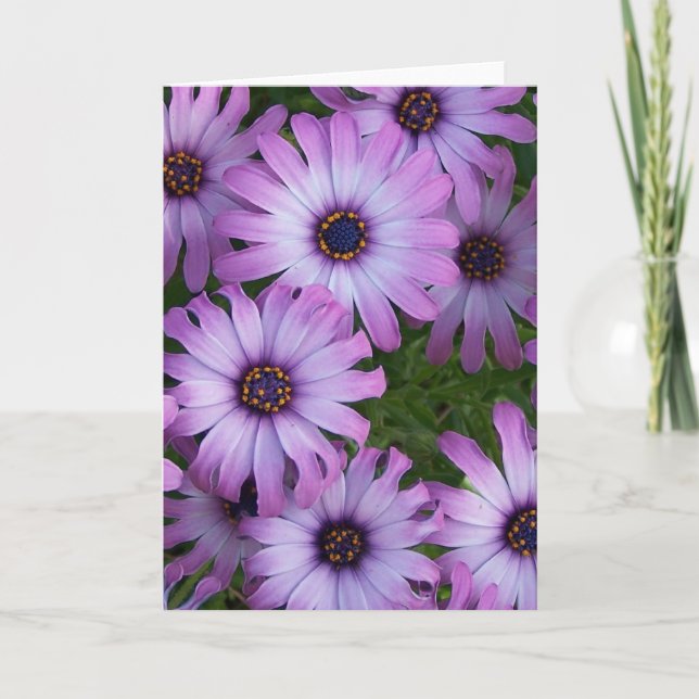 Tarjeta de saludo Aster Flowers (Anverso)