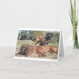 Tarjeta de saludo Bavarian Mountain Hound Dog Blan