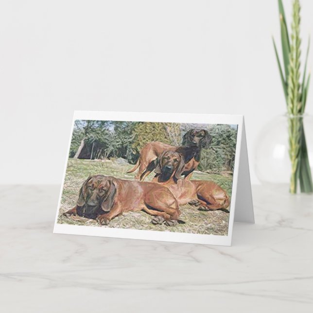 Tarjeta de saludo Bavarian Mountain Hound Dog Blan (Anverso)