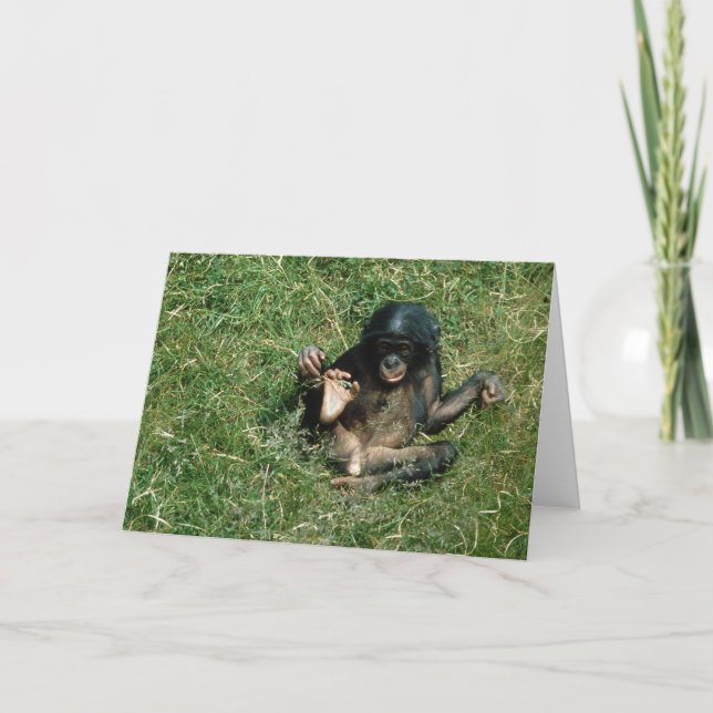 Tarjeta de saludo Bebé Bonobo Ape Muy Cuidada (Anverso)