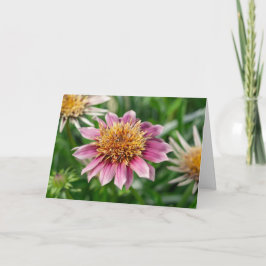 Tarjeta de saludo - Belleza de jardín en Portsmout