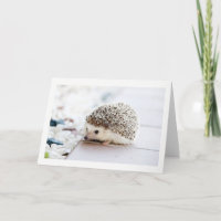 Tarjeta de saludo Blank Cute Hedgehog