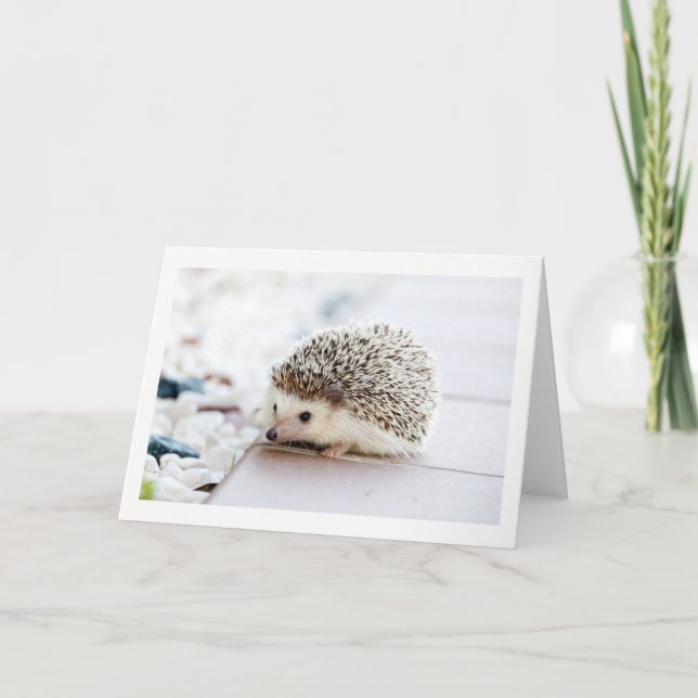 Tarjeta de saludo Blank Cute Hedgehog (Anverso)