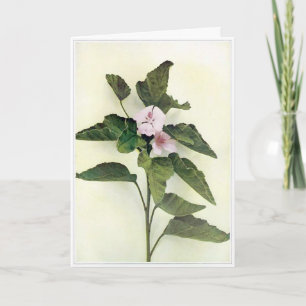Tarjeta de saludo Blank Wild Flower