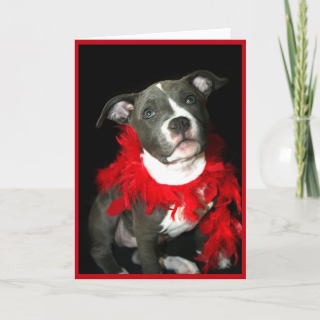 Tarjeta de saludo Blue Pitbull Puppy (Anverso)