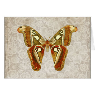 Tarjeta de saludo botánico de Moth de bonito Vinta