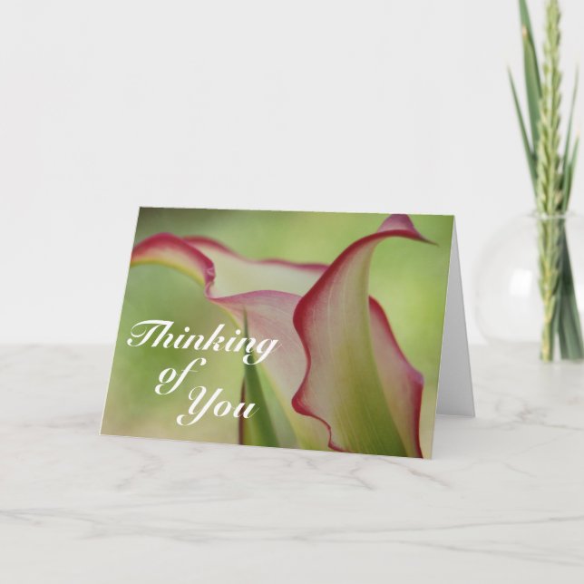 Tarjeta de saludo Calla Lily (Anverso)