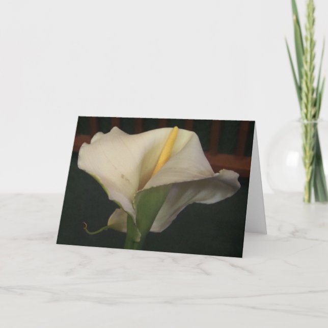 Tarjeta de saludo Calla Lily (Anverso)