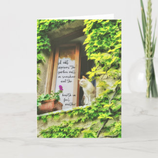 Tarjeta De Saludo CAT'S EYE VIEW