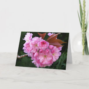 Tarjeta de saludo Cherry Blossom Blank