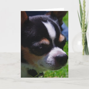Tarjeta de saludo Chihuahua Pup