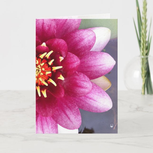 Tarjeta de saludo Claret Coloreada Water Lily (Anverso)