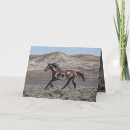 Tarjeta de saludo Cochise Runs
