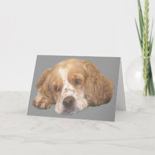 Tarjeta de saludo Cocker Spaniel Ftemles