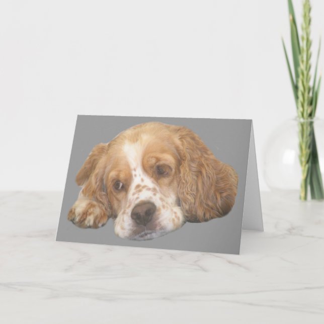 Tarjeta de saludo Cocker Spaniel Ftemles (Anverso)