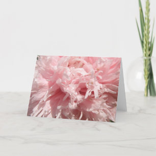 Tarjeta de saludo con amapola rosa pálida bonito