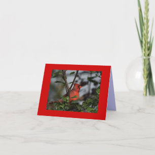 Tarjeta de saludo con cardenal